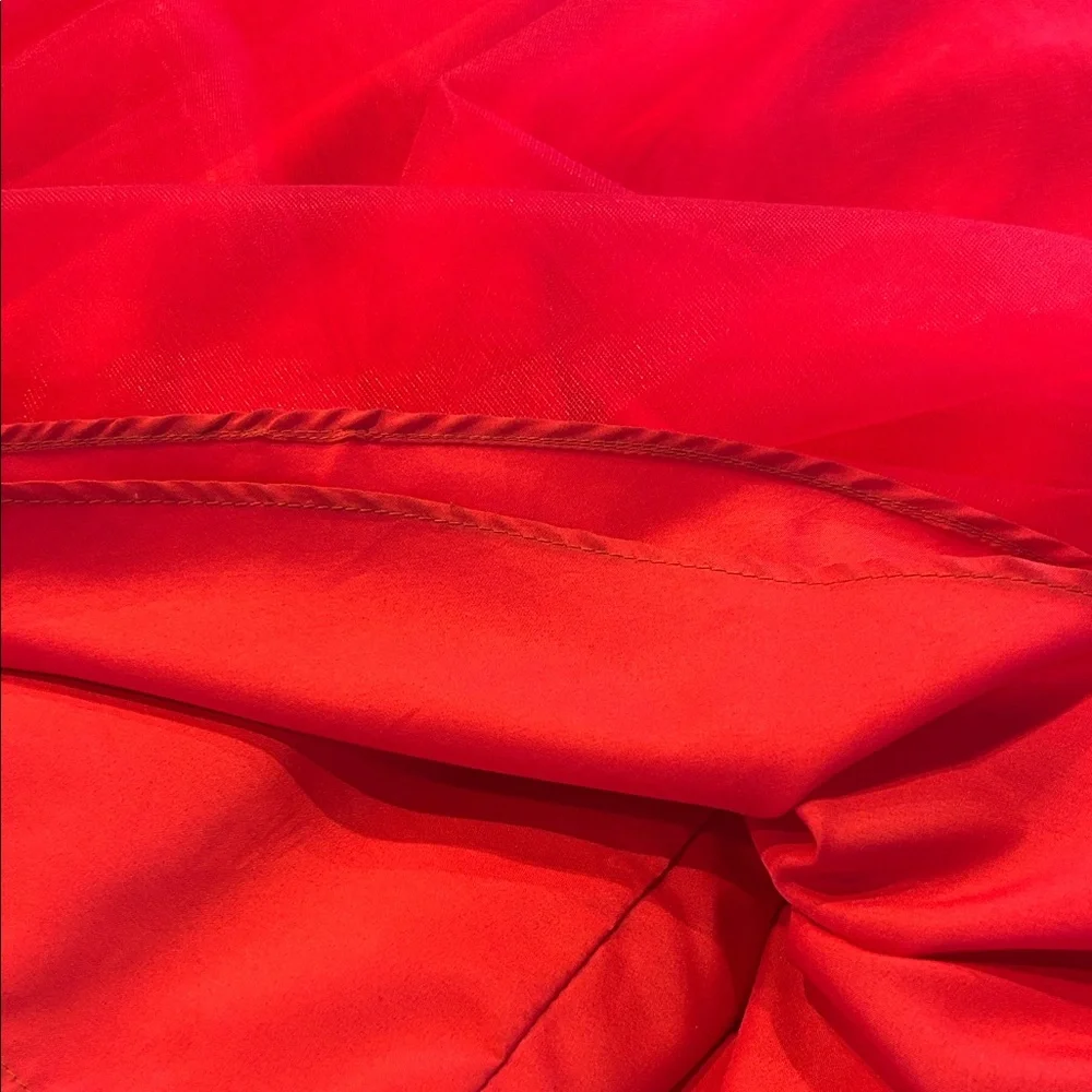Stacees Prom Dress Size 4 - Picture 14 of 14